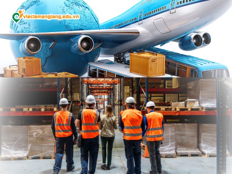 Kiến thức chuyên môn và các kỹ năng cần thiết