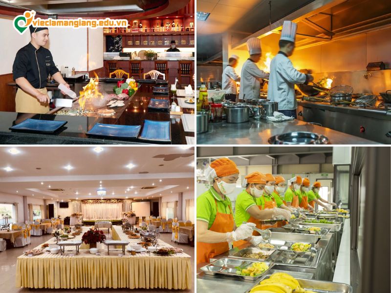 Môi trường làm việc đa dạng