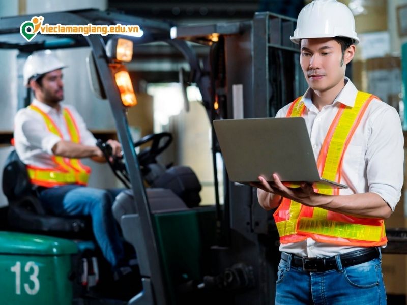 Nhóm quản lý và điều phối trung cấp – cao cấp