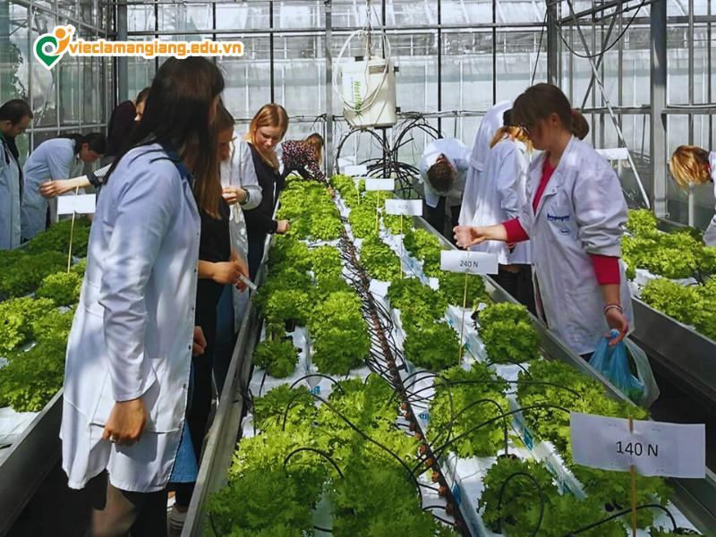 Vị trí tuyển dụng phổ biến trong ngành công nghệ sinh học